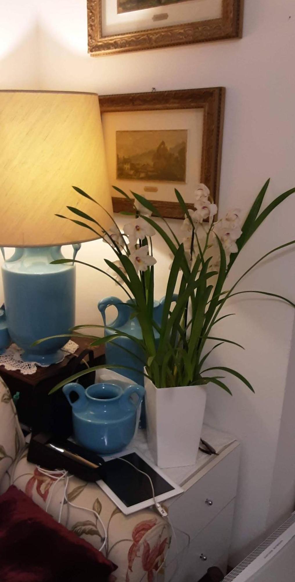 Bed and Breakfast Tosca House 2 Varenna Exterior foto